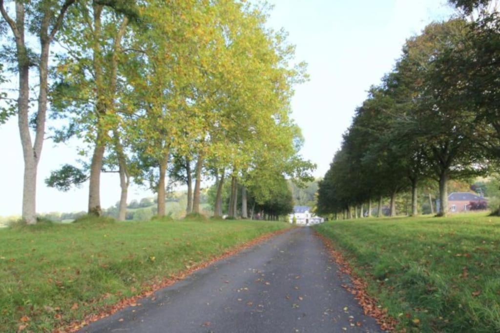 La Maisonnette Saint-Pierre-en-Auge Buitenkant foto