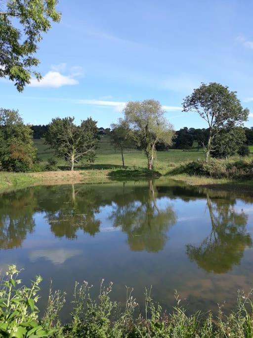 La Maisonnette Saint-Pierre-en-Auge Buitenkant foto
